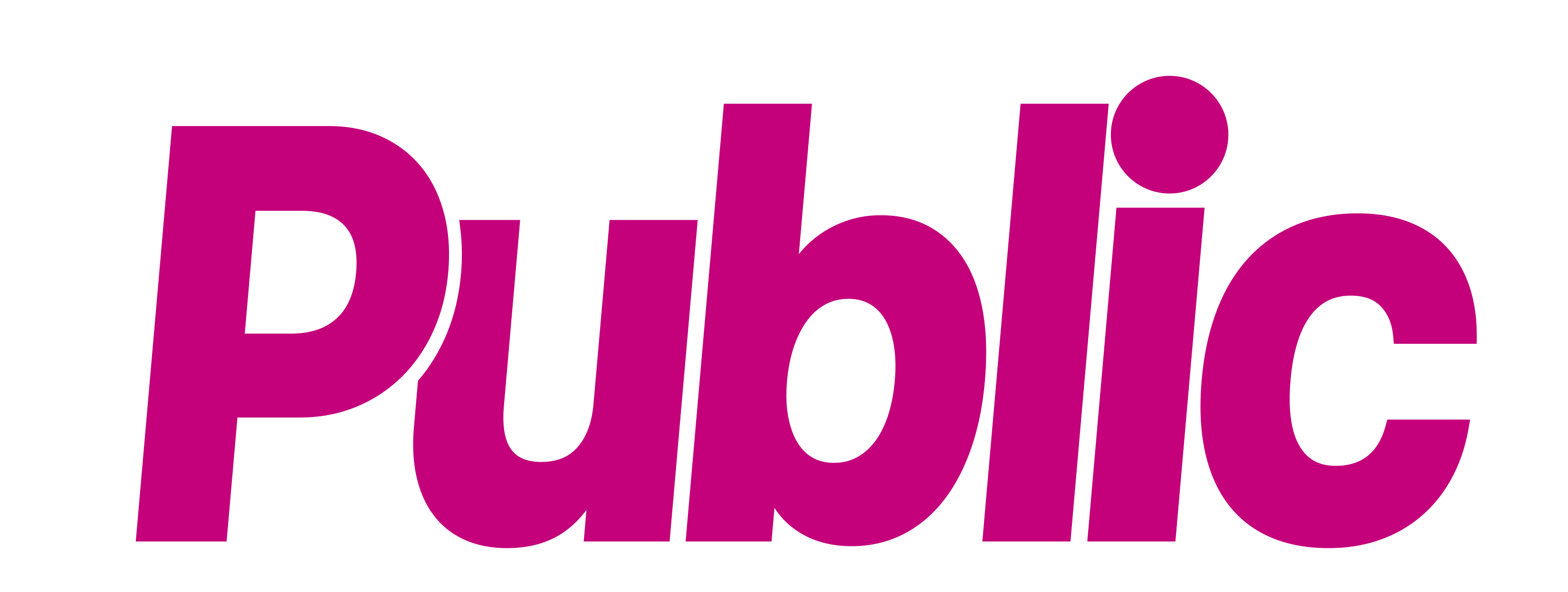 Logo Public Blanc Arrondi